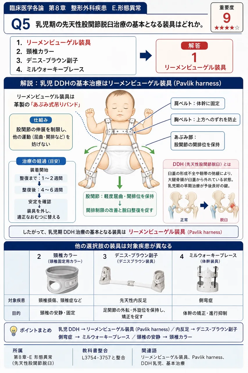 乳児期の先天性股関節脱臼治療の基本となる装具はどれか。 解説図