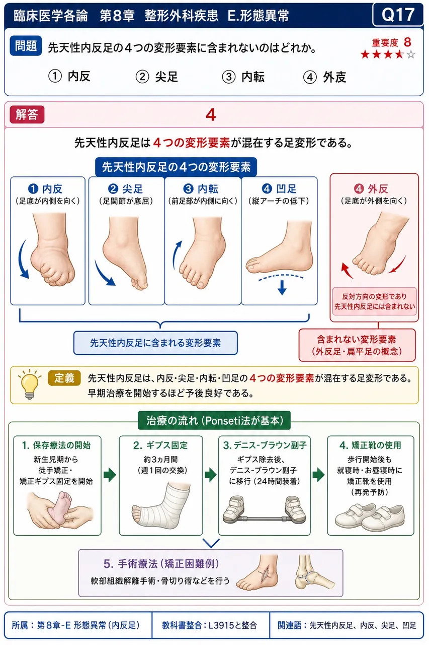 先天性内反足の4つの変形要素に含まれないのはどれか。 解説図