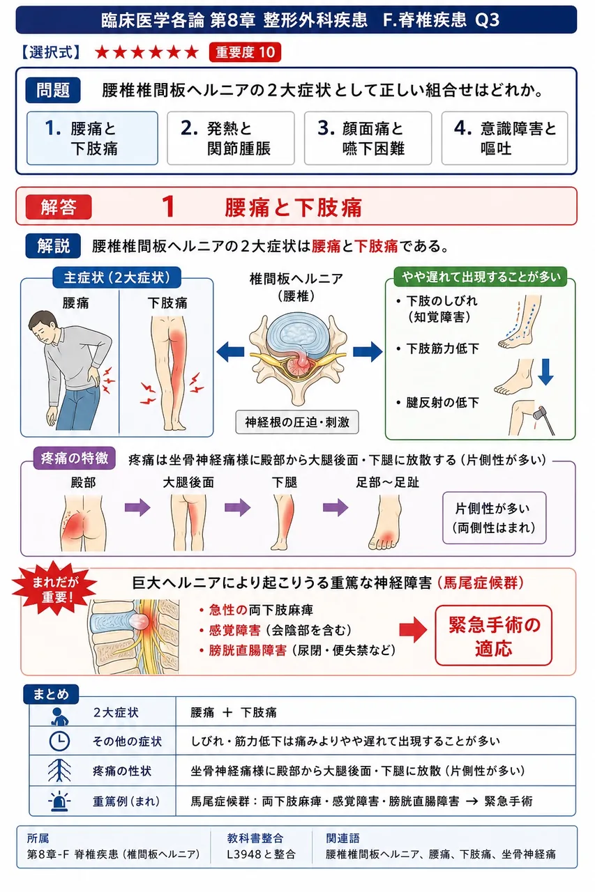 腰椎椎間板ヘルニアの2大症状として正しい組合せはどれか。 解説図
