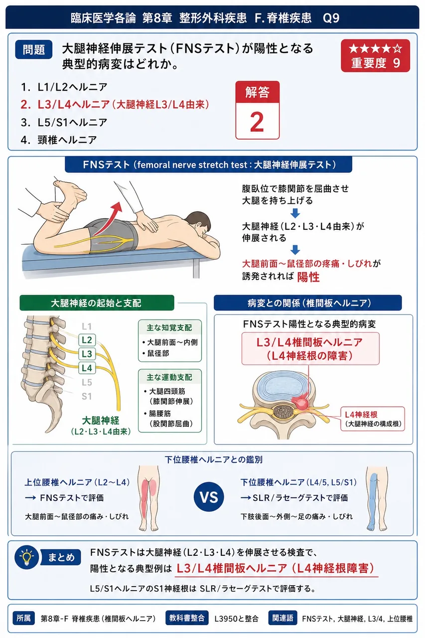 大腿神経伸展テスト(FNSテスト)が陽性となる典型的病変はどれか。 解説図