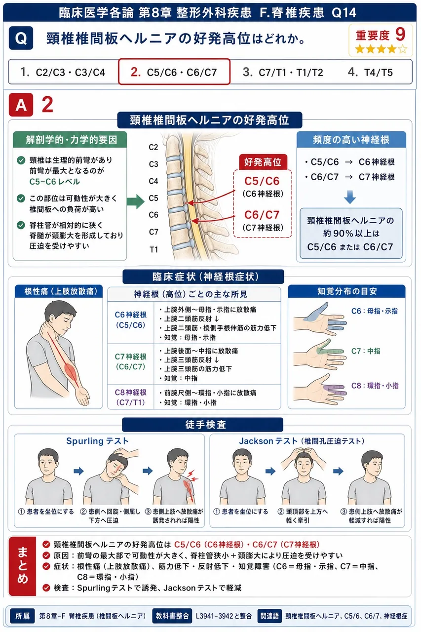 頸椎椎間板ヘルニアの好発高位はどれか。 解説図