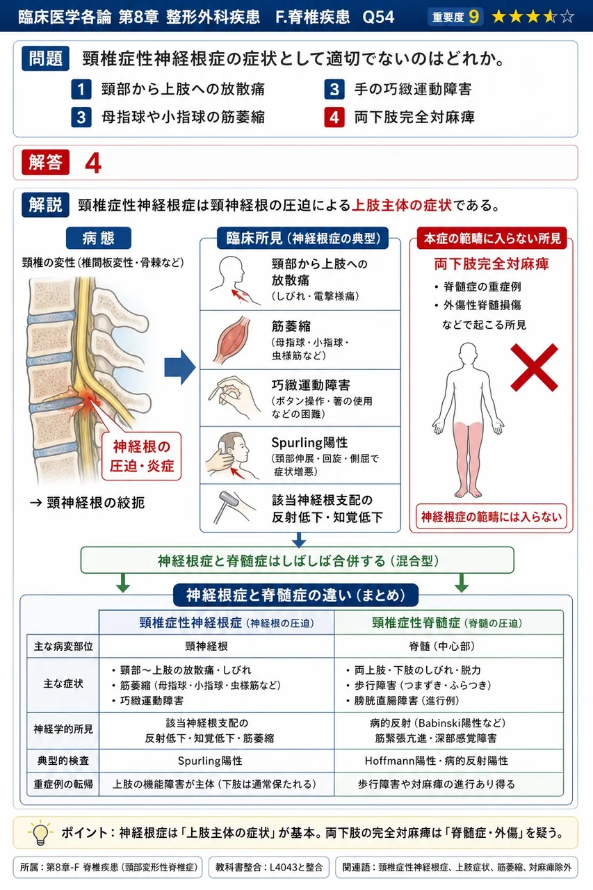 頸椎症性神経根症の症状として適切でないのはどれか。 解説図