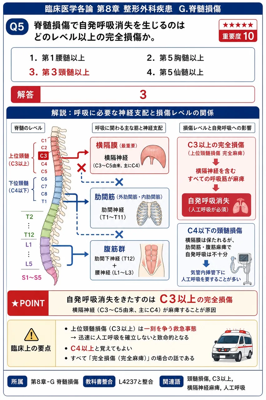 脊髄損傷で自発呼吸消失を生じるのはどのレベル以上の完全損傷か。 解説図