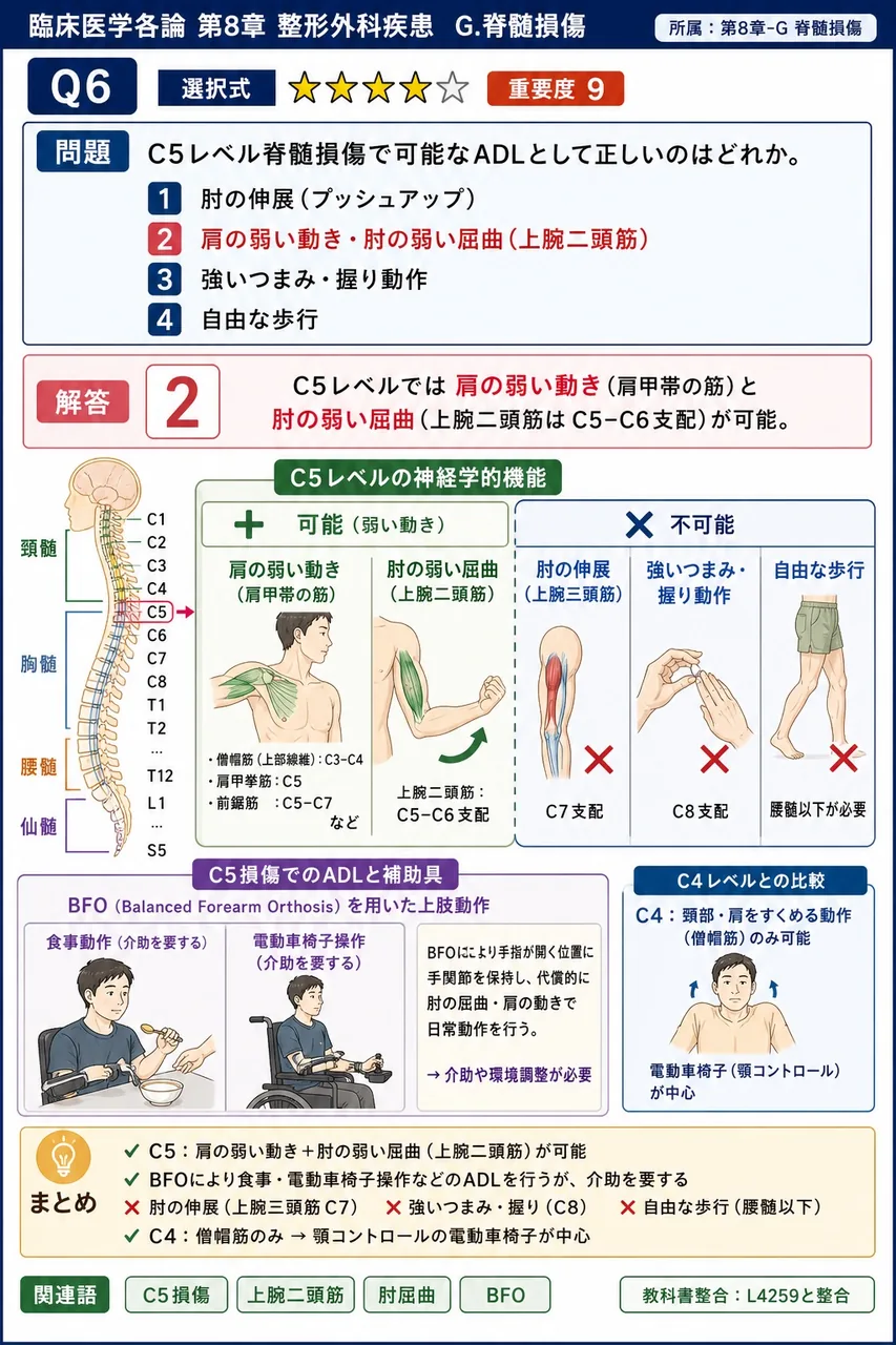 C5レベル脊髄損傷で可能なADLとして正しいのはどれか。 解説図