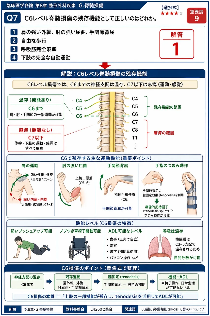 C6レベル脊髄損傷の残存機能として正しいのはどれか。 解説図