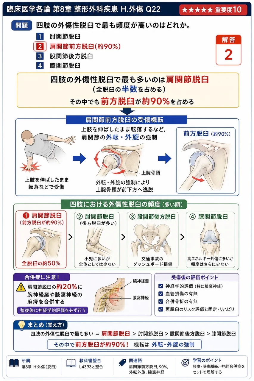 四肢の外傷性脱臼で最も頻度が高いのはどれか。 解説図