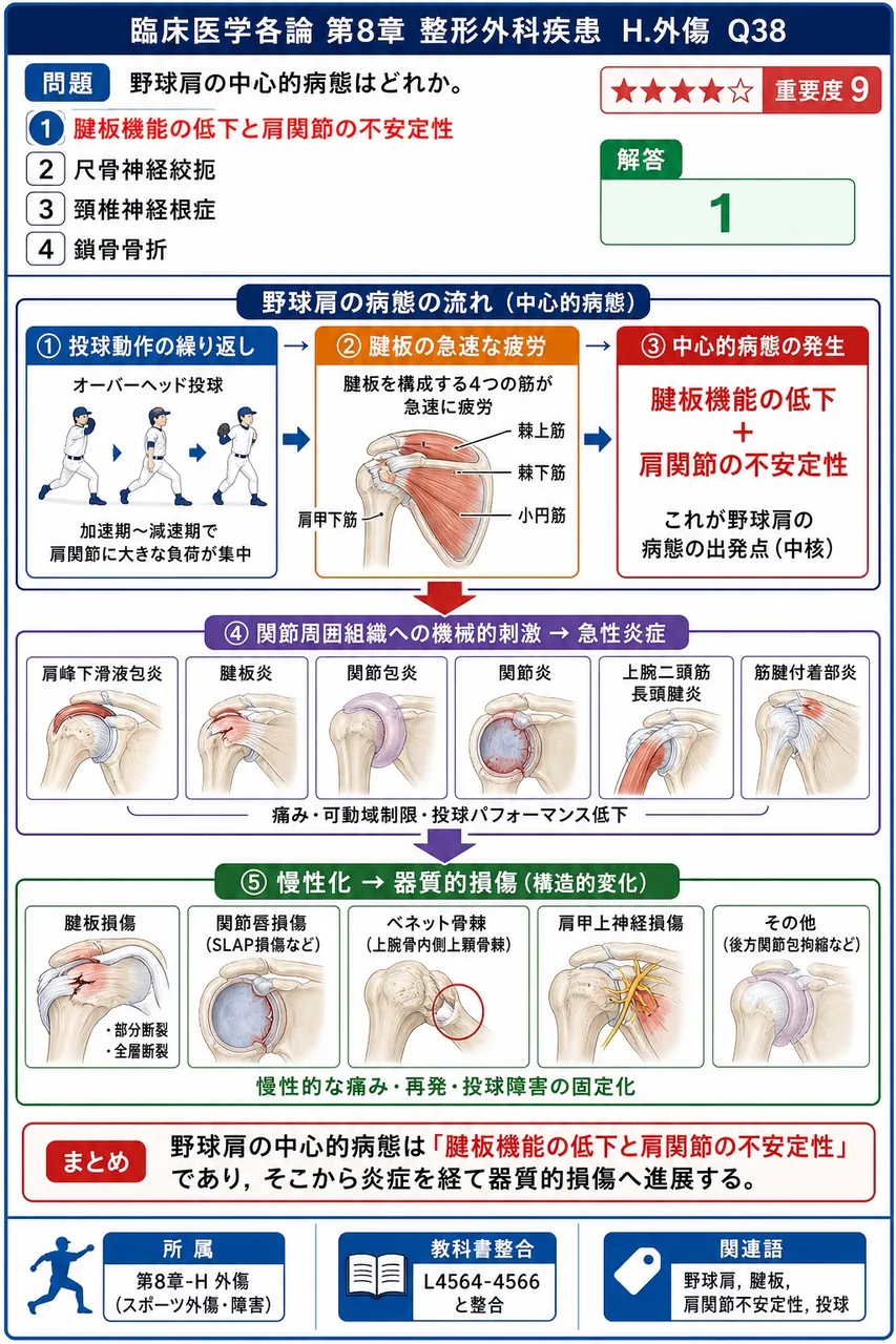 野球肩の中心的病態はどれか。 解説図