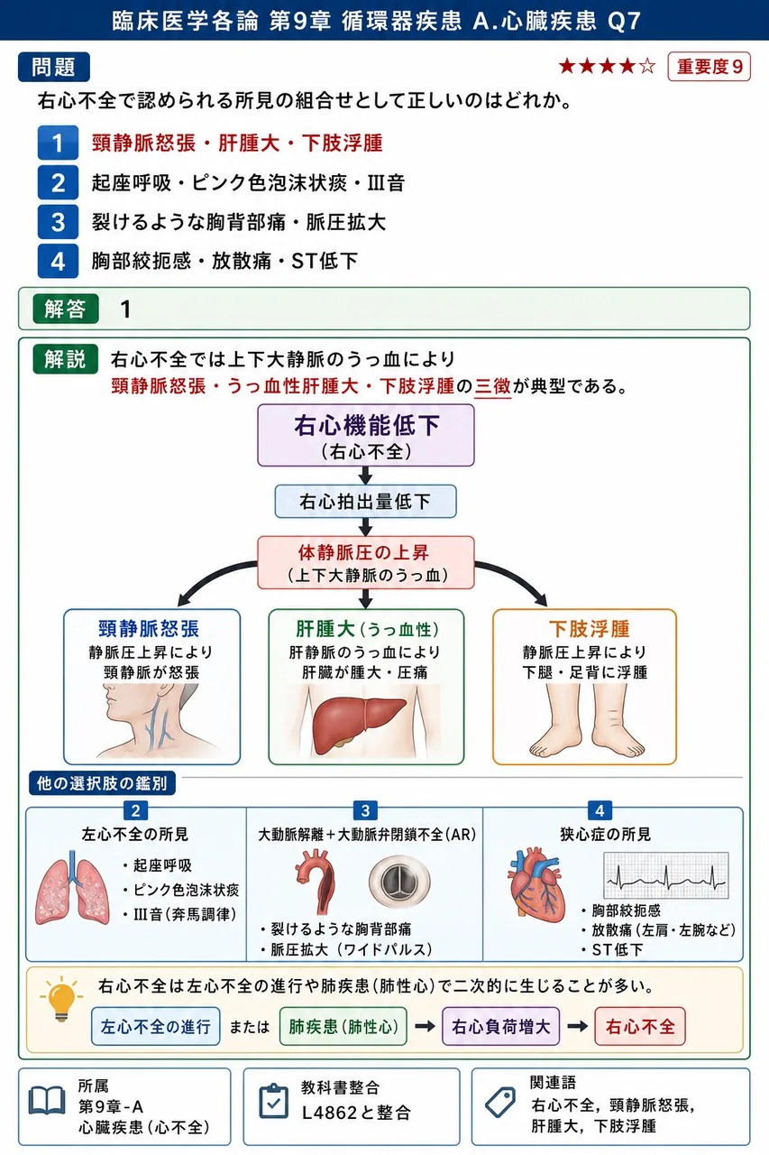 右心不全で認められる所見の組合せとして正しいのはどれか。 解説図