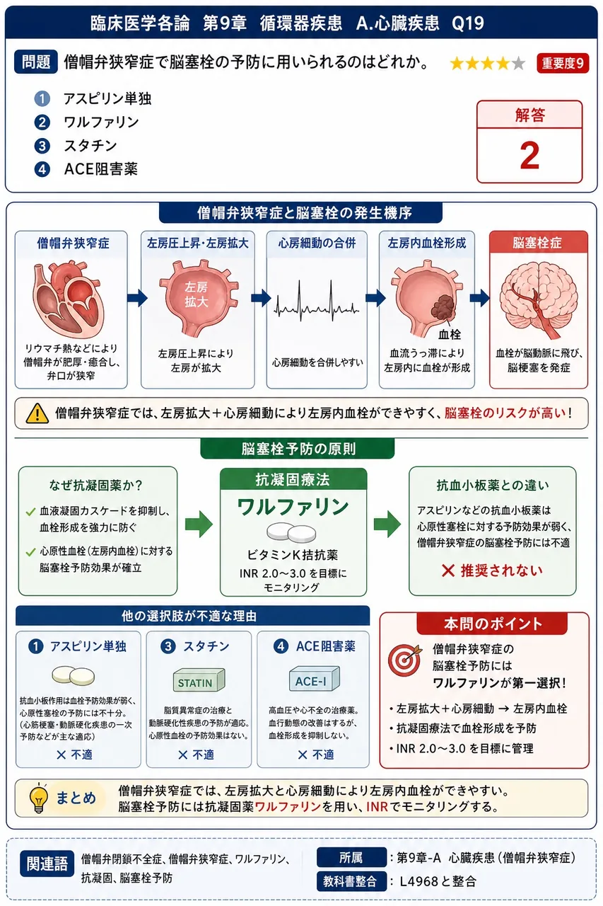 僧帽弁狭窄症で脳塞栓の予防に用いられるのはどれか。 解説図