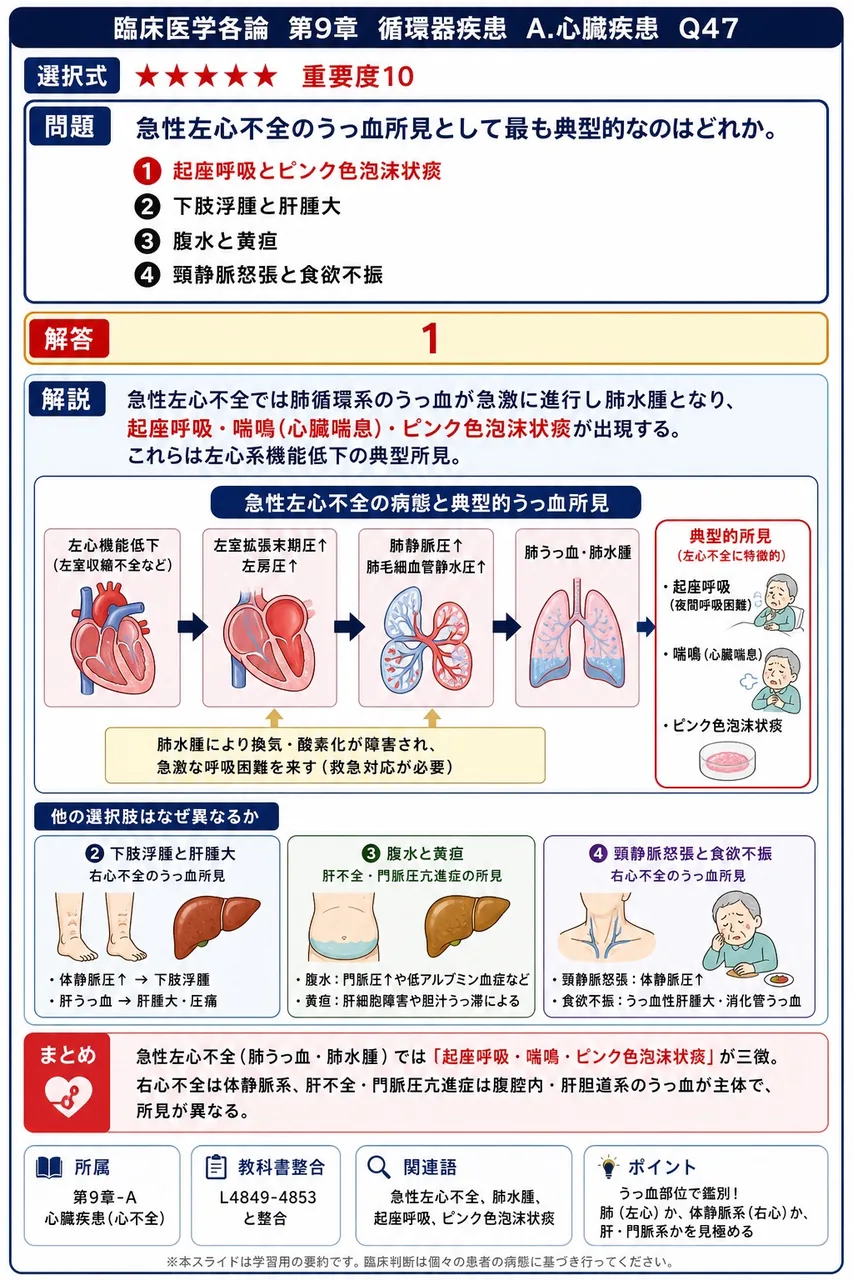 急性左心不全のうっ血所見として最も典型的なのはどれか。 解説図