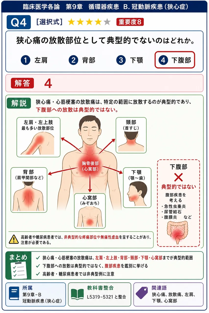 狭心痛の放散部位として典型的でないのはどれか。 解説図