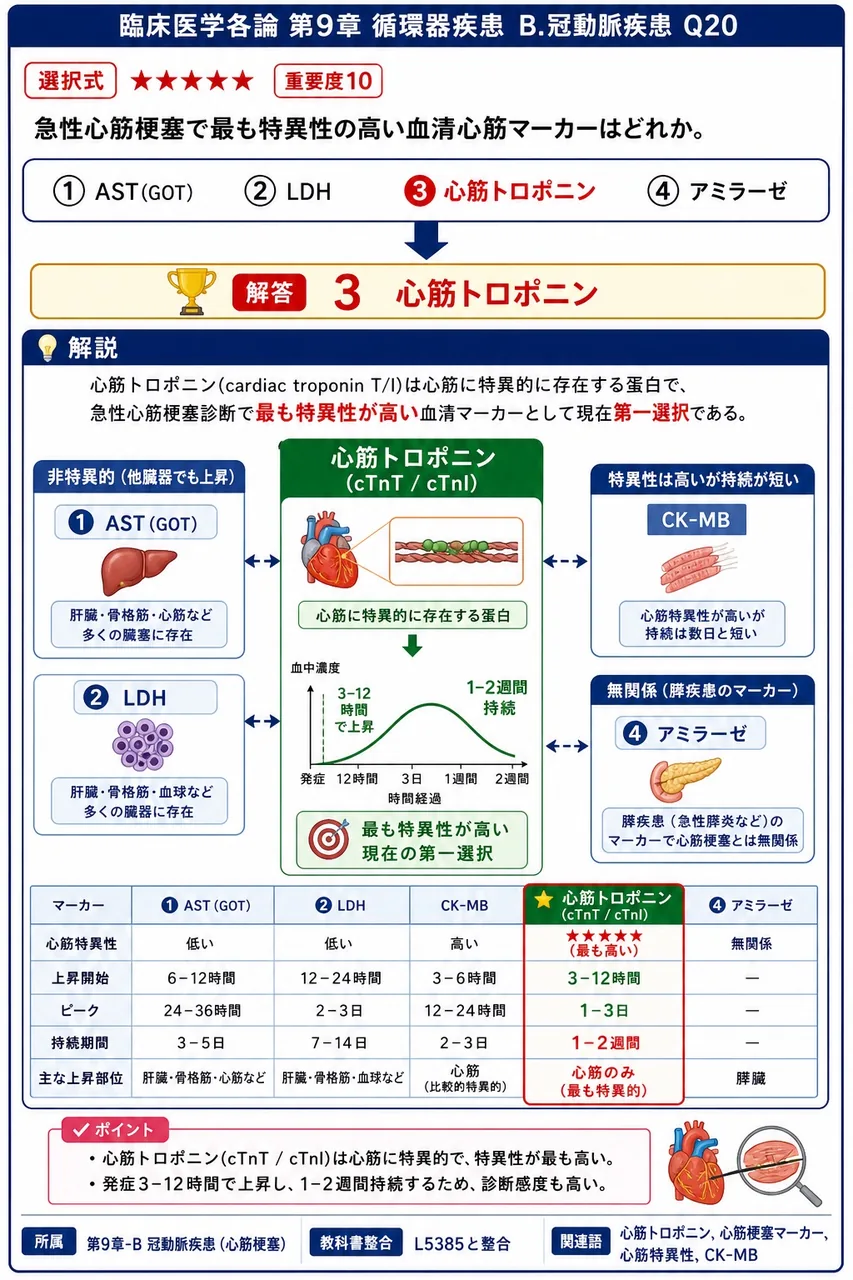 急性心筋梗塞で最も特異性の高い血清心筋マーカーはどれか。 解説図