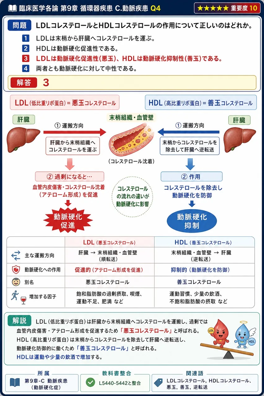LDLコレステロールとHDLコレステロールの作用について正しいのはどれか。 解説図