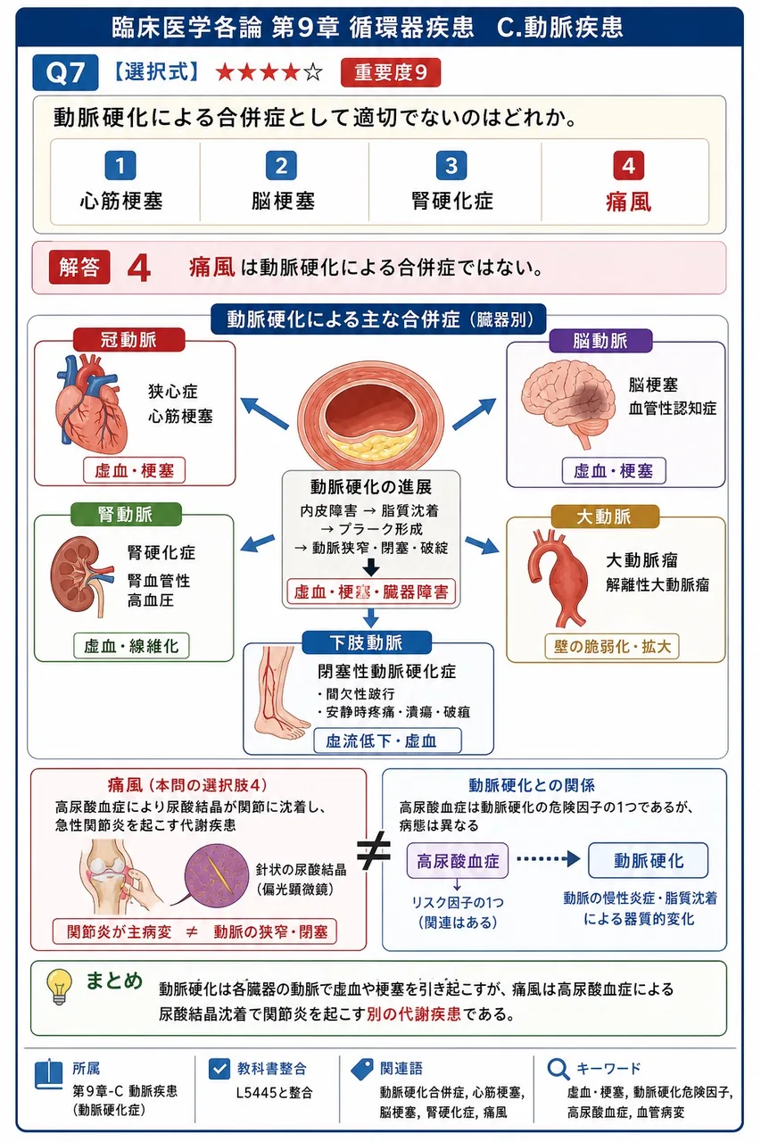 動脈硬化による合併症として適切でないのはどれか。 解説図