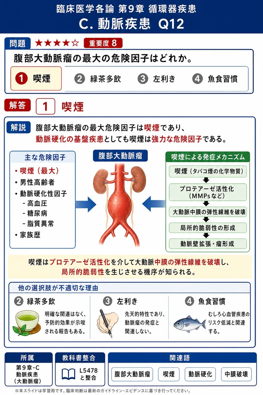 腹部大動脈瘤の最大の危険因子はどれか。 解説図