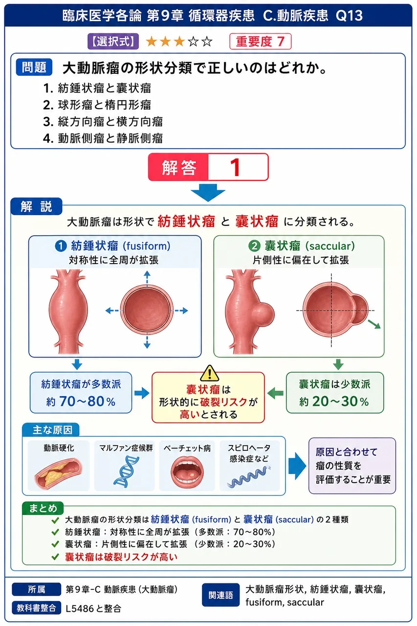 大動脈瘤の形状分類で正しいのはどれか。 解説図