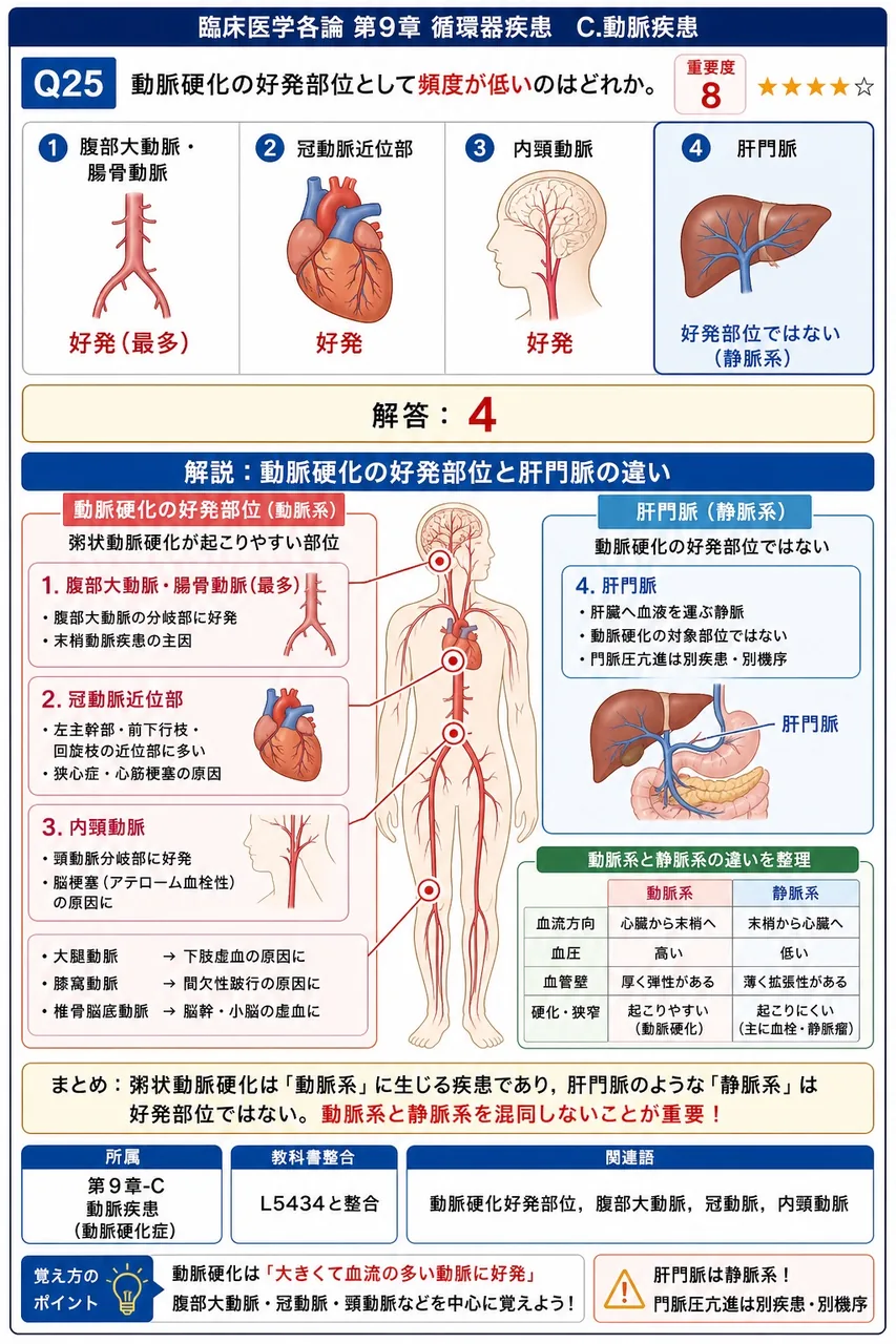 動脈硬化の好発部位として頻度が低いのはどれか。 解説図