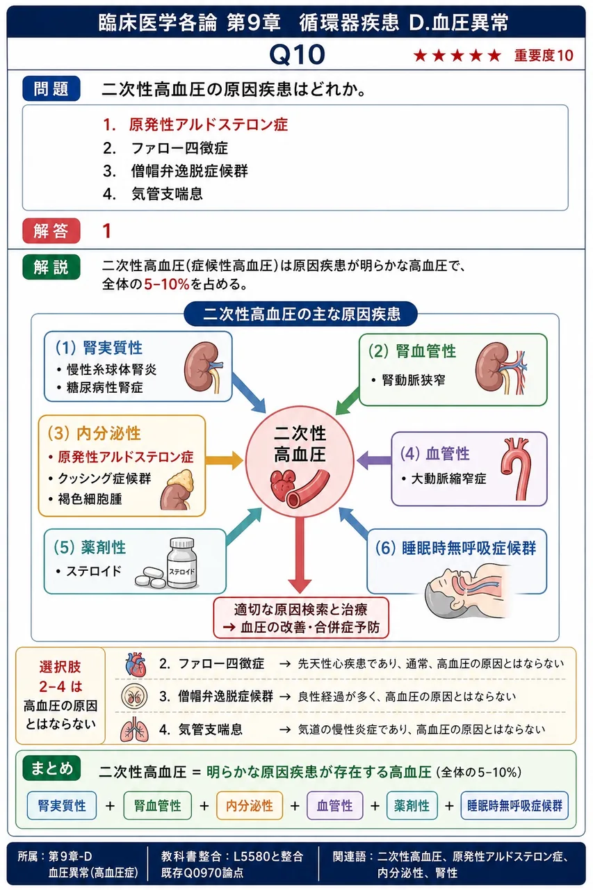 二次性高血圧の原因疾患はどれか。 解説図