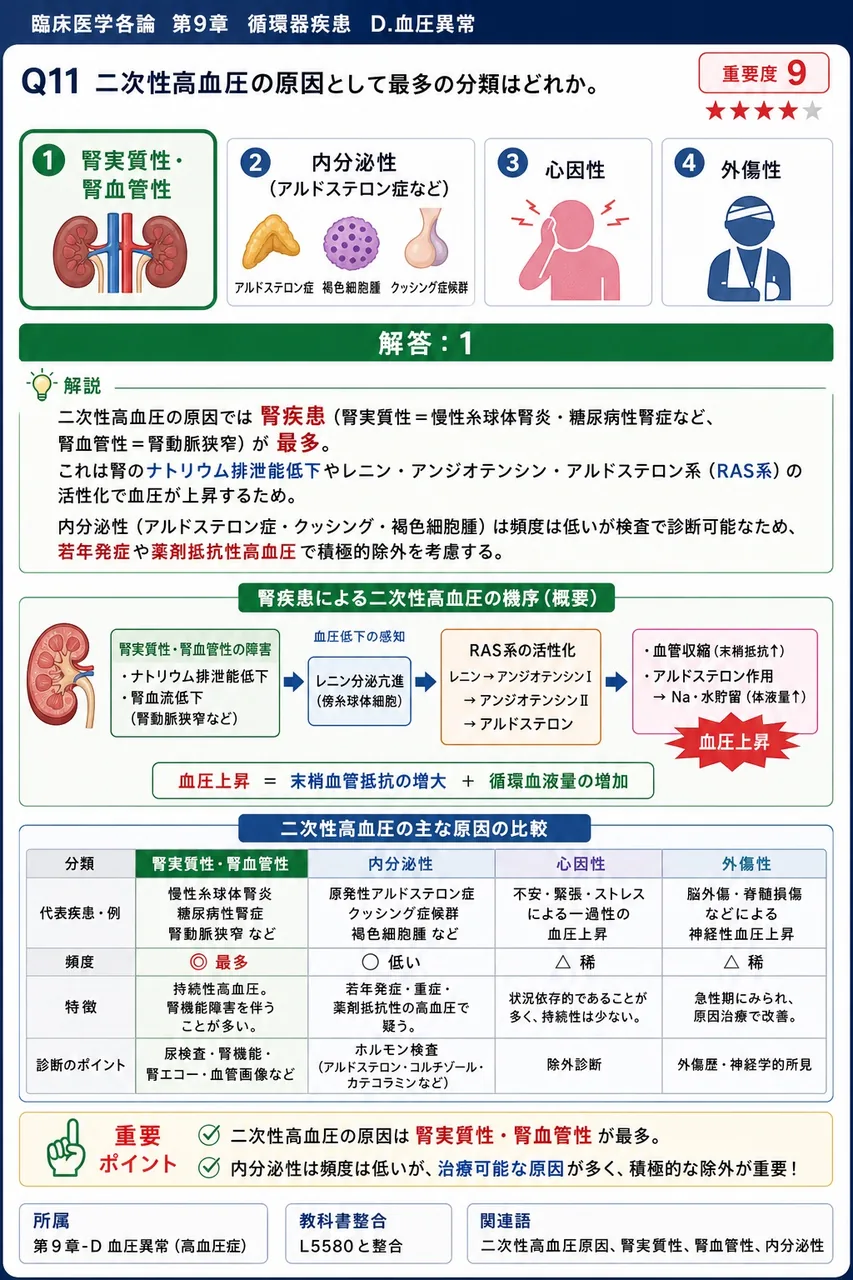 二次性高血圧の原因として最多の分類はどれか。 解説図