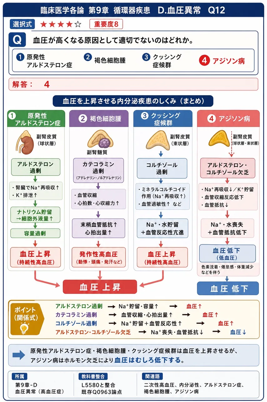 血圧が高くなる原因として適切でないのはどれか。 解説図