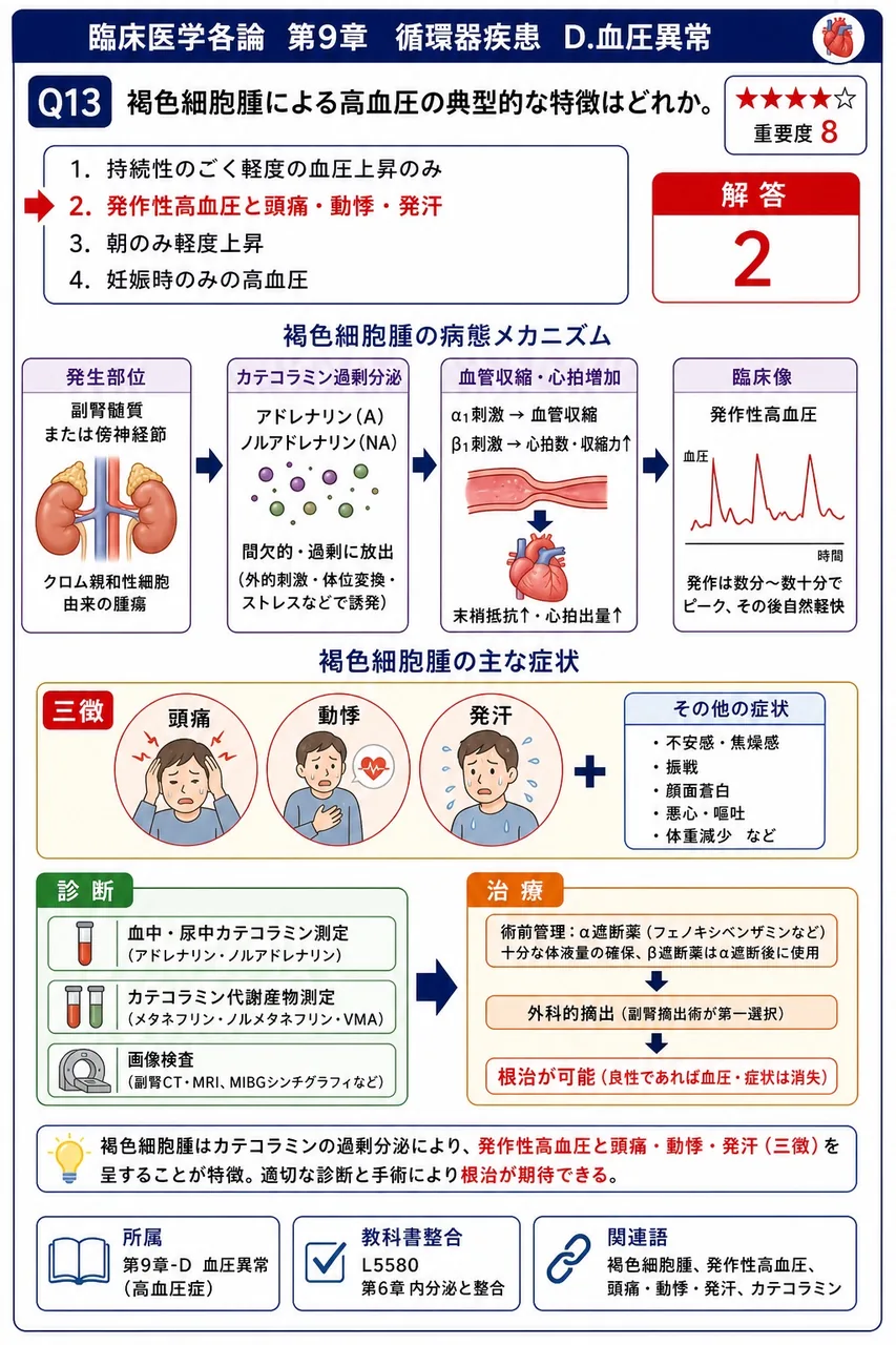 褐色細胞腫による高血圧の典型的な特徴はどれか。 解説図