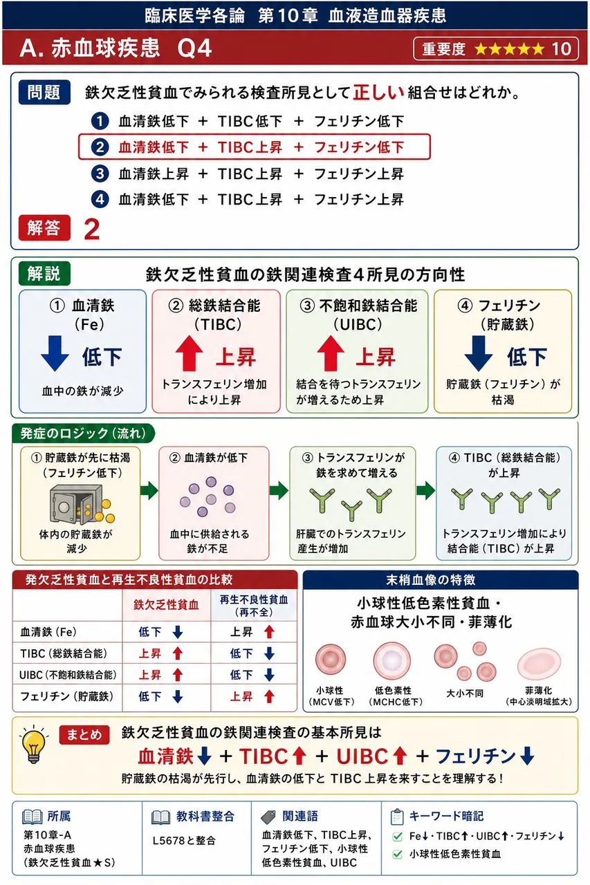 鉄欠乏性貧血でみられる検査所見として**正しい**組合せはどれか。 解説図