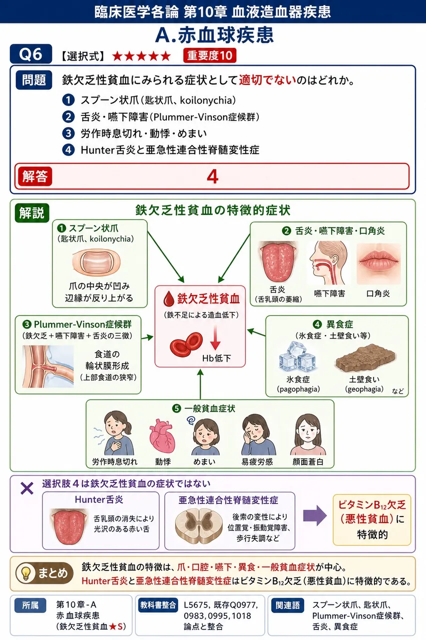 鉄欠乏性貧血にみられる症状として**適切でない**のはどれか。 解説図