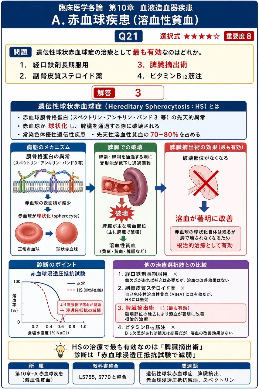 遺伝性球状赤血球症の治療として**最も有効**なのはどれか。 解説図