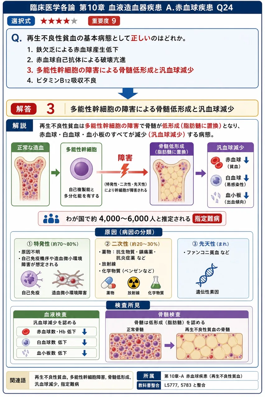再生不良性貧血の基本病態として**正しい**のはどれか。 解説図