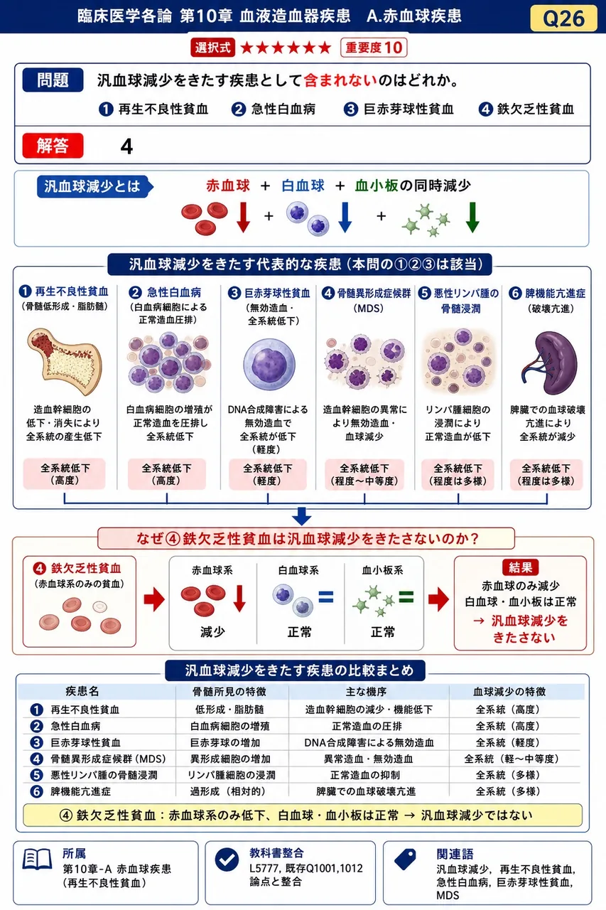 汎血球減少をきたす疾患として**含まれない**のはどれか。 解説図