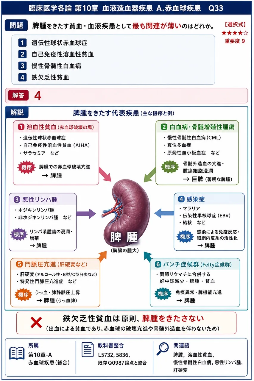 脾腫をきたす貧血・血液疾患として**最も関連が薄い**のはどれか。 解説図