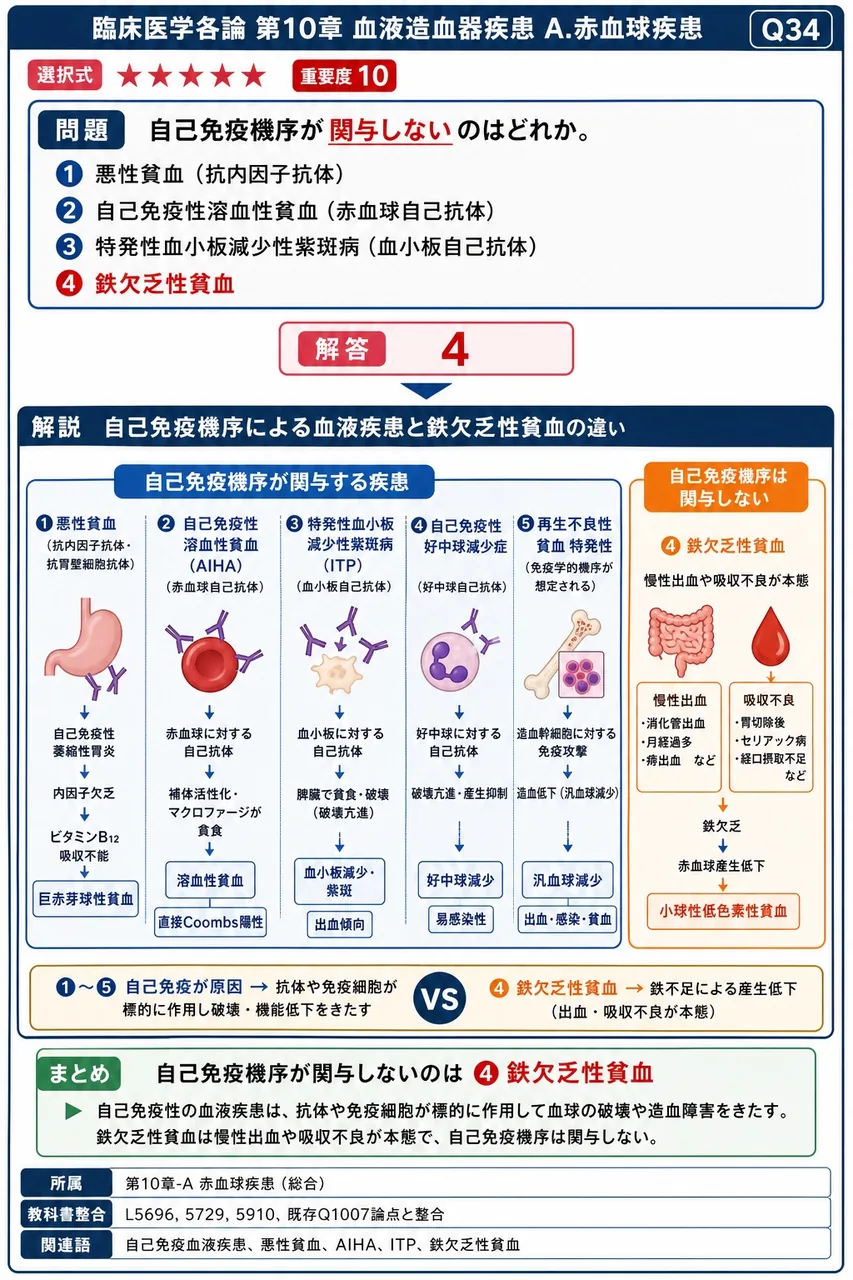 自己免疫機序が**関与しない**のはどれか。 解説図