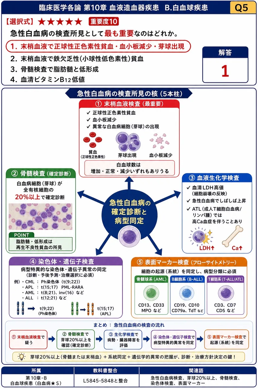 急性白血病の検査所見として**最も重要**なのはどれか。 解説図