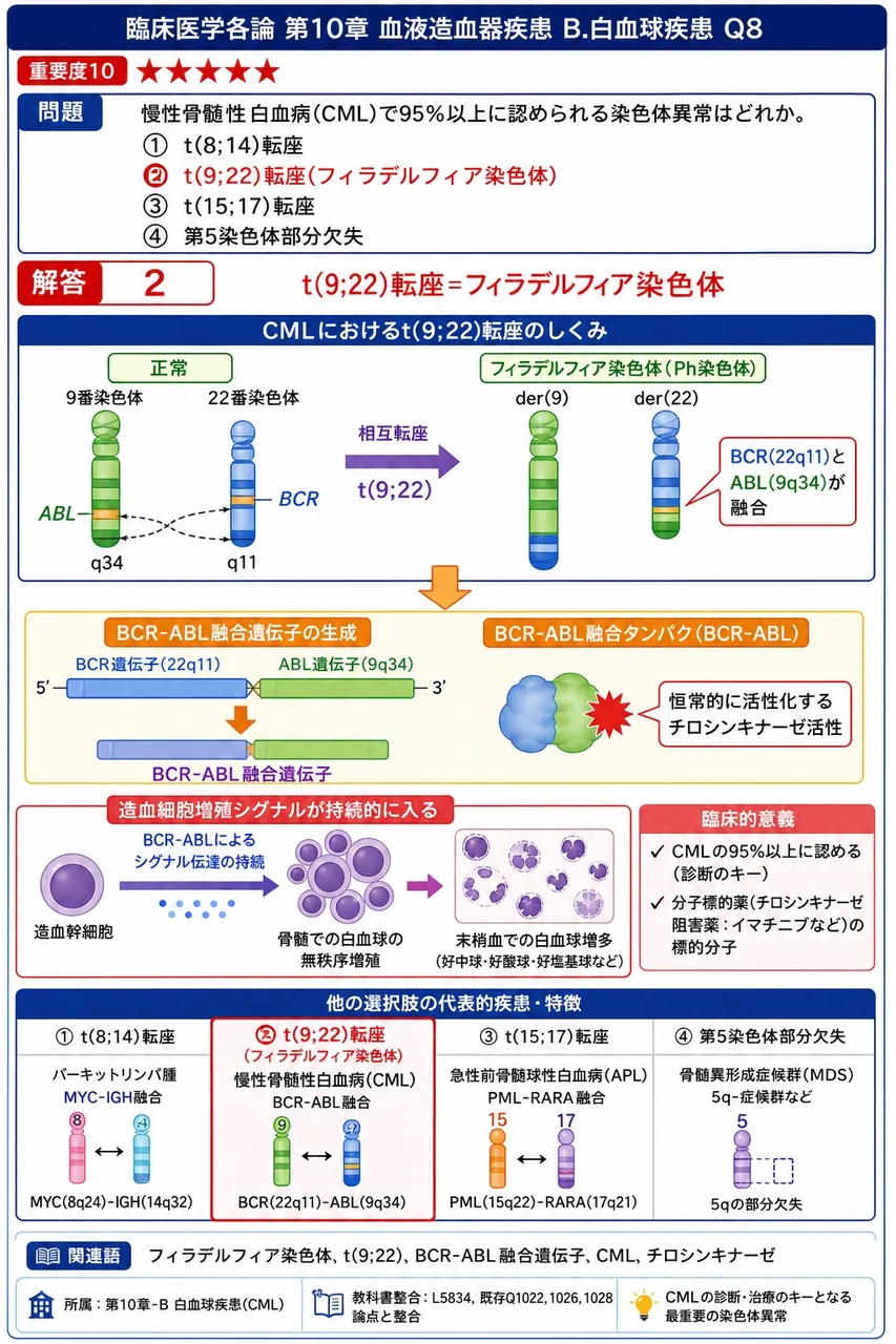 慢性骨髄性白血病(CML)で95%以上に認められる染色体異常はどれか。 解説図