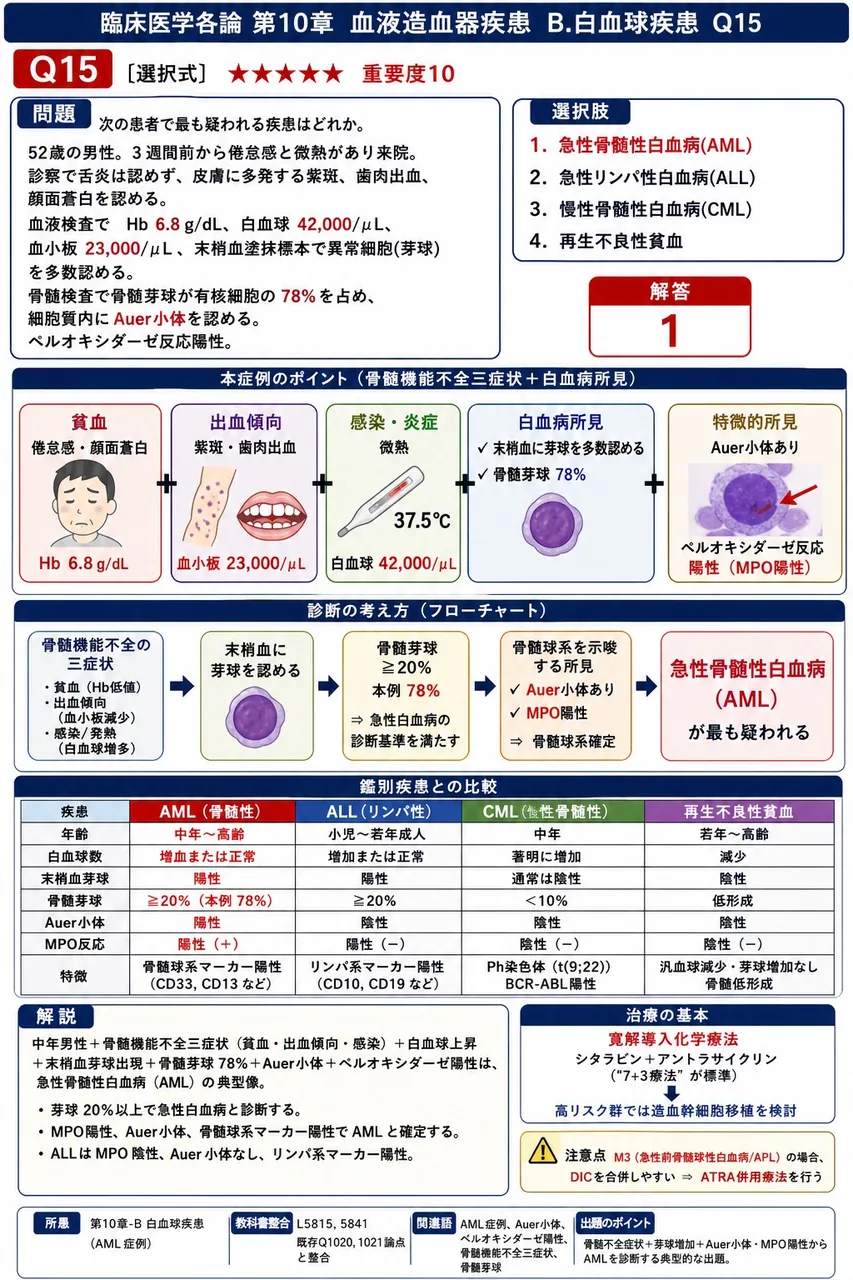 次の患者で最も疑われる疾患はどれか。 「52歳の男性。3週間前から倦怠感と微熱があり来院。診察で舌炎は認めず、皮膚に多発する紫斑、歯肉出血、顔面蒼白を認める。血液検査でHb 6.8g/dL、白血球 42,000/μL、血小板 23,000/μL、末梢血塗抹標本で異常細胞(芽球)を多数認める。骨髄検査で骨髄芽球が有核細胞の78%を占め、細胞質内にAuer小体を認める。ペルオキシダーゼ反応陽性。」 解説図