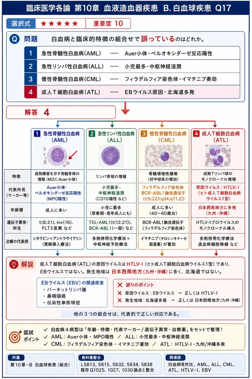 白血病と臨床的特徴の組合せで**誤っている**のはどれか。 解説図