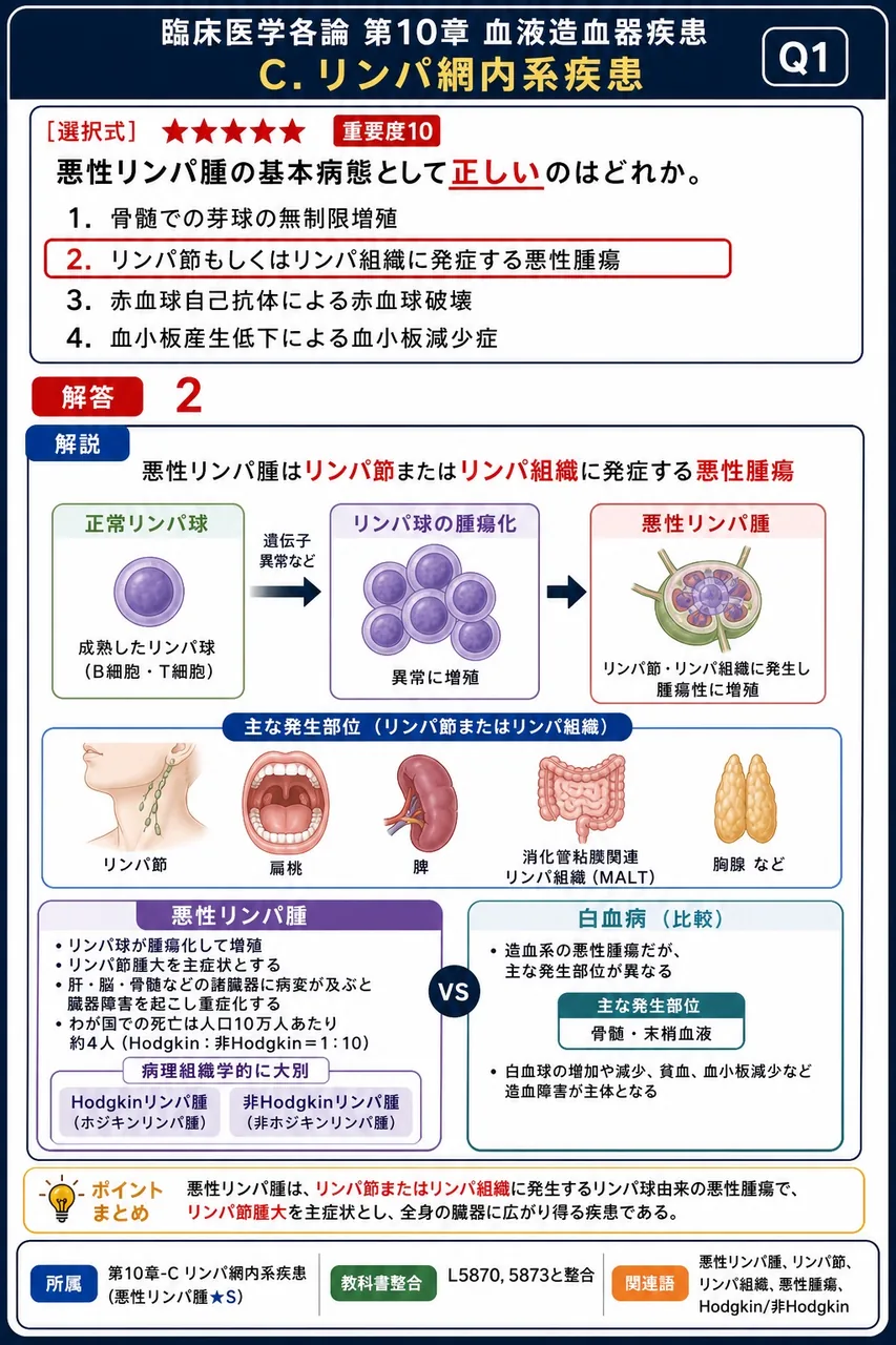 悪性リンパ腫の基本病態として**正しい**のはどれか。 解説図