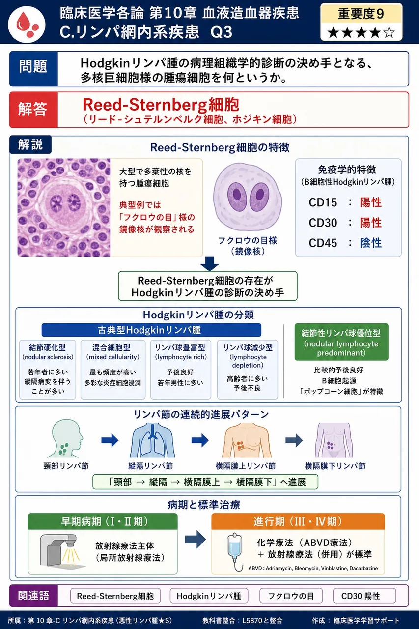Hodgkinリンパ腫の病理組織学的診断の決め手となる、多核巨細胞様の腫瘍細胞を何というか。 解説図