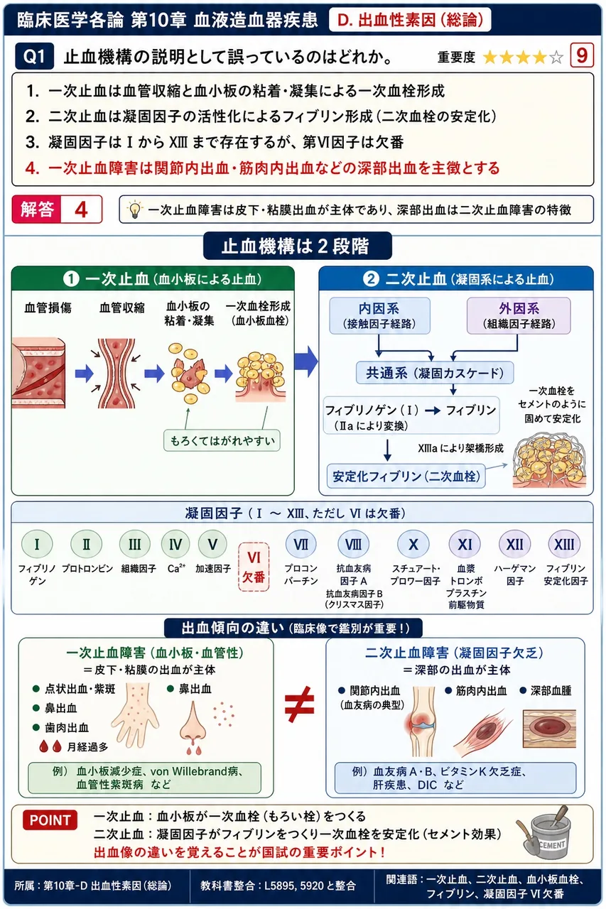 止血機構の説明として**誤っている**のはどれか。 解説図