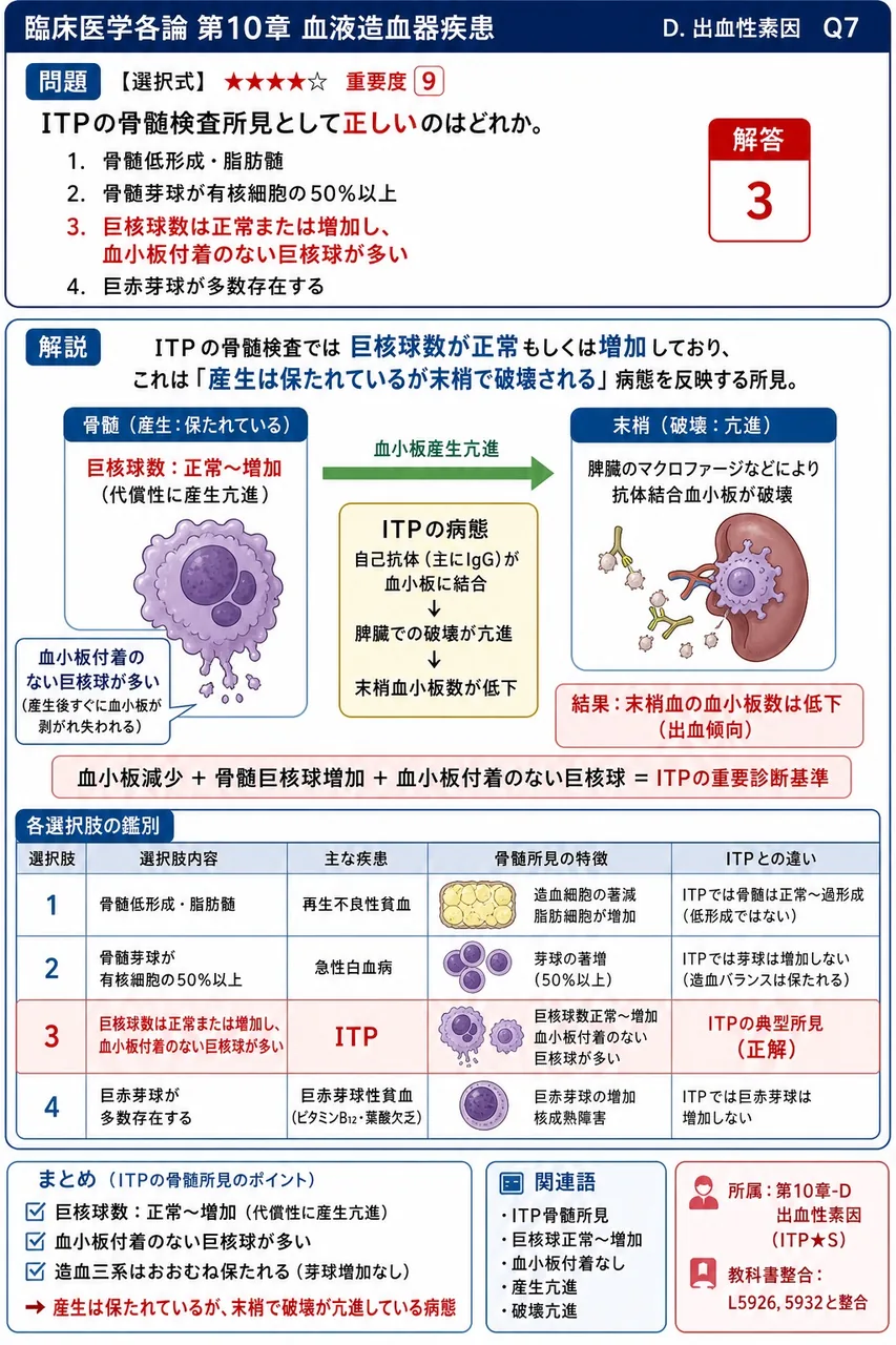 ITPの骨髄検査所見として**正しい**のはどれか。 解説図