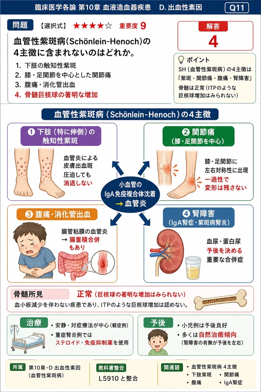 血管性紫斑病(Schönlein-Henoch)の4主徴に**含まれない**のはどれか。 解説図