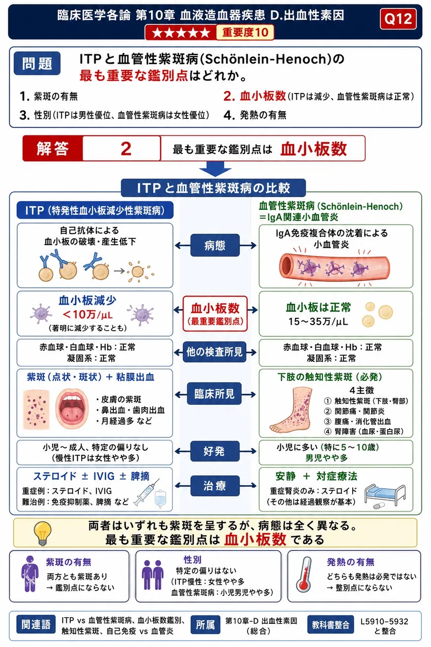 ITPと血管性紫斑病(Schönlein-Henoch)の**最も重要な鑑別点**はどれか。 解説図