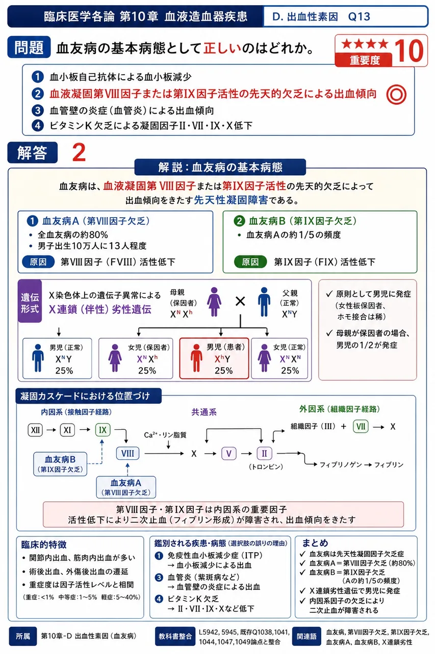 血友病の基本病態として**正しい**のはどれか。 解説図