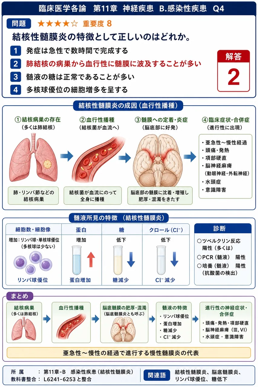 結核性髄膜炎の特徴として正しいのはどれか。 解説図