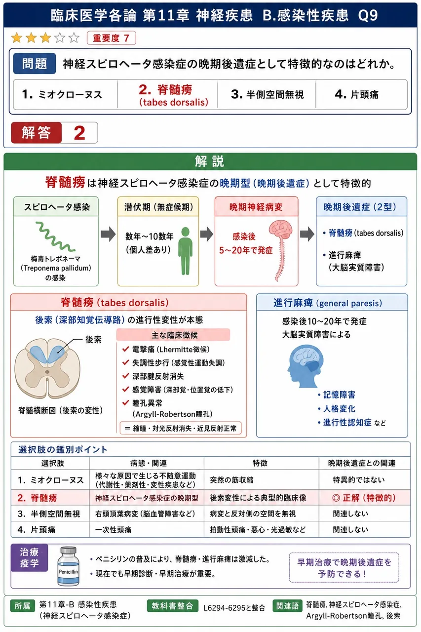 神経梅毒の晩期後遺症として特徴的なのはどれか。 解説図