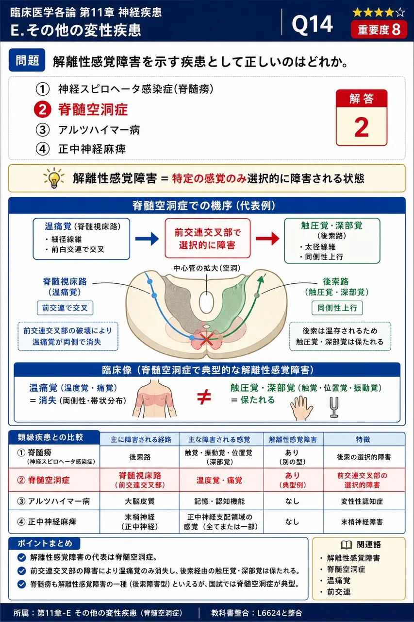 解離性感覚障害を示す疾患として正しいのはどれか。 解説図