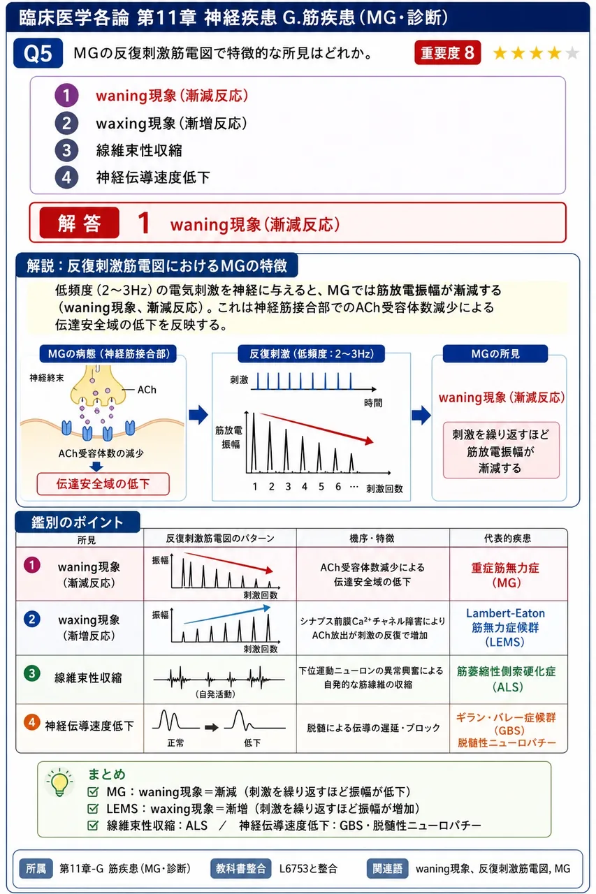 MGの反復刺激筋電図で特徴的な所見はどれか。 解説図