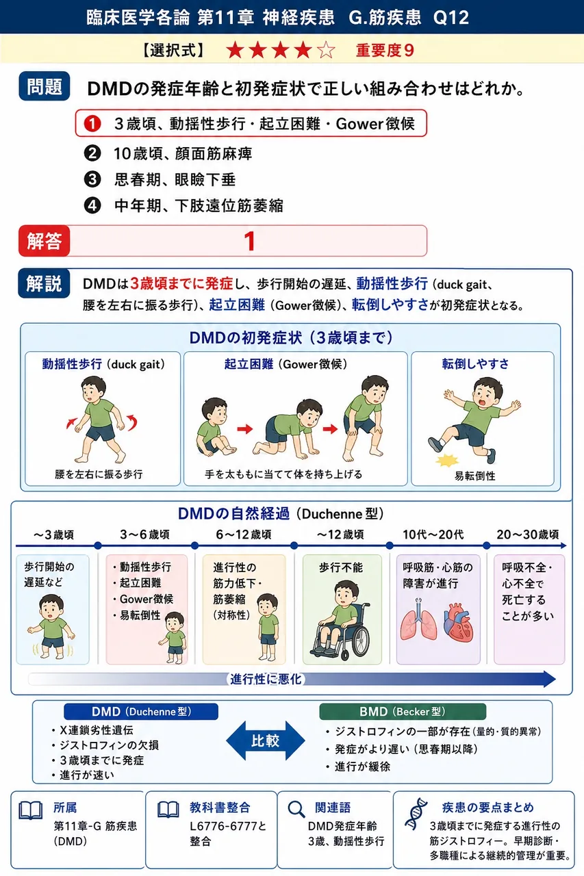DMDの発症年齢と初発症状で正しい組み合わせはどれか。 解説図