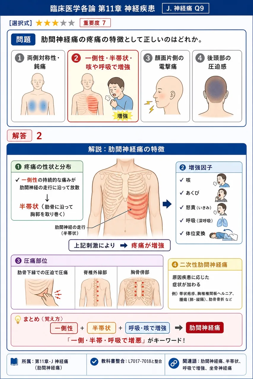 肋間神経痛の疼痛の特徴として正しいのはどれか。 解説図