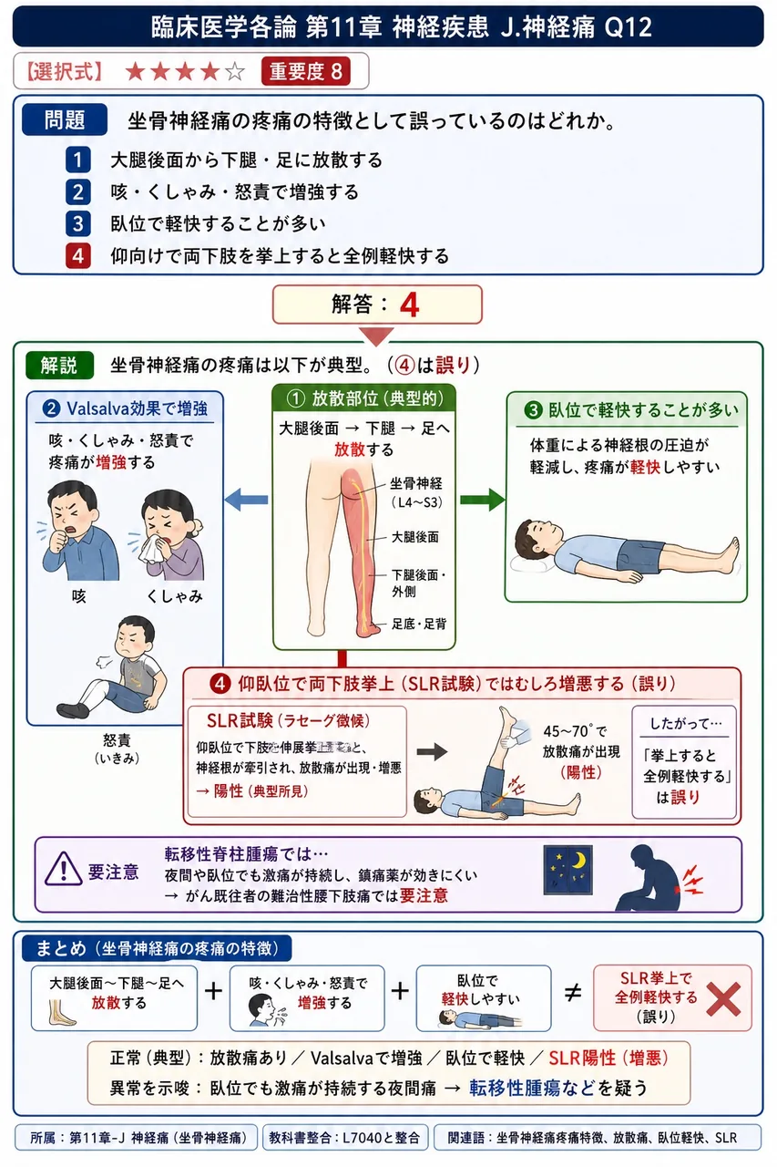 坐骨神経痛の疼痛の特徴として誤っているのはどれか。 解説図